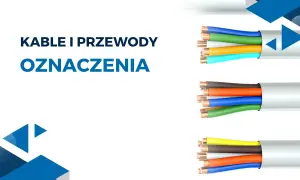 Kolorowe kable w gniazdku, gotowe do podłączenia.