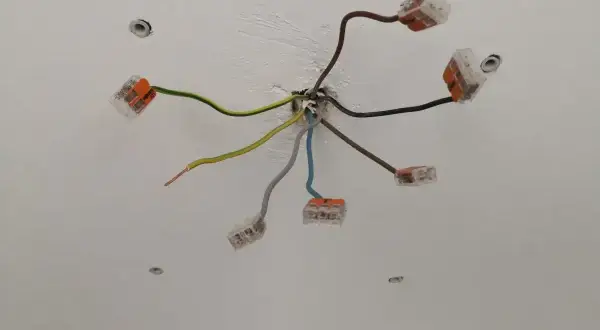 Przewody elektryczne połączone złączkami. Widać przewód neutralny w kolorze niebieskim, a także zielono-żółty przewód ochronny.